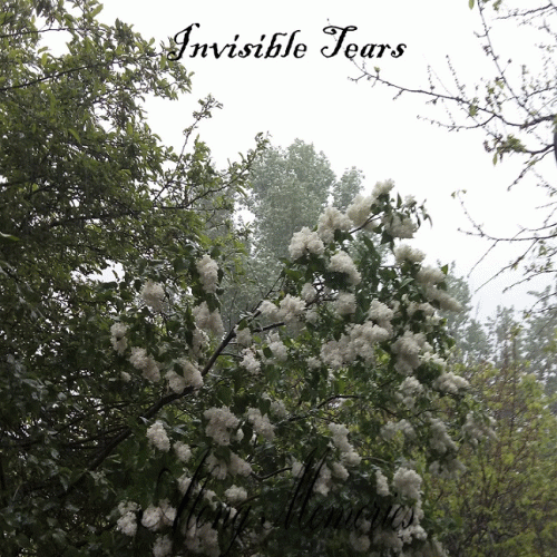 Along Memories : Invisible Tears